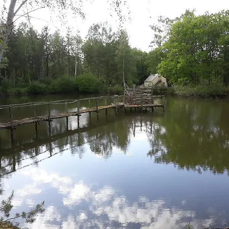 Proche Le Mans, L'eveque,maison Forestiere, Accueil Chevaux Possible 11 Pers Tatil Evi Parigné-lʼÉvêque